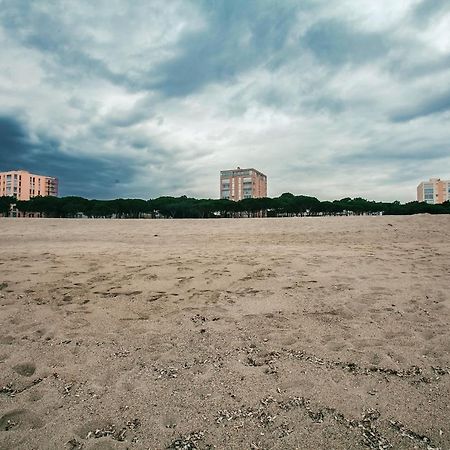 Studio Les Pieds Dans L'Eau Argeles Sur Mer Exteriör bild