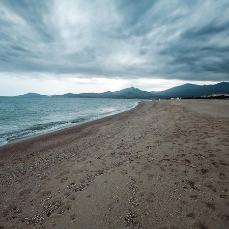 Studio Les Pieds Dans L'Eau Argeles Sur Mer Exteriör bild