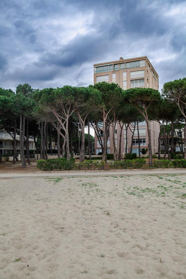 Studio Les Pieds Dans L'Eau Argeles Sur Mer Exteriör bild