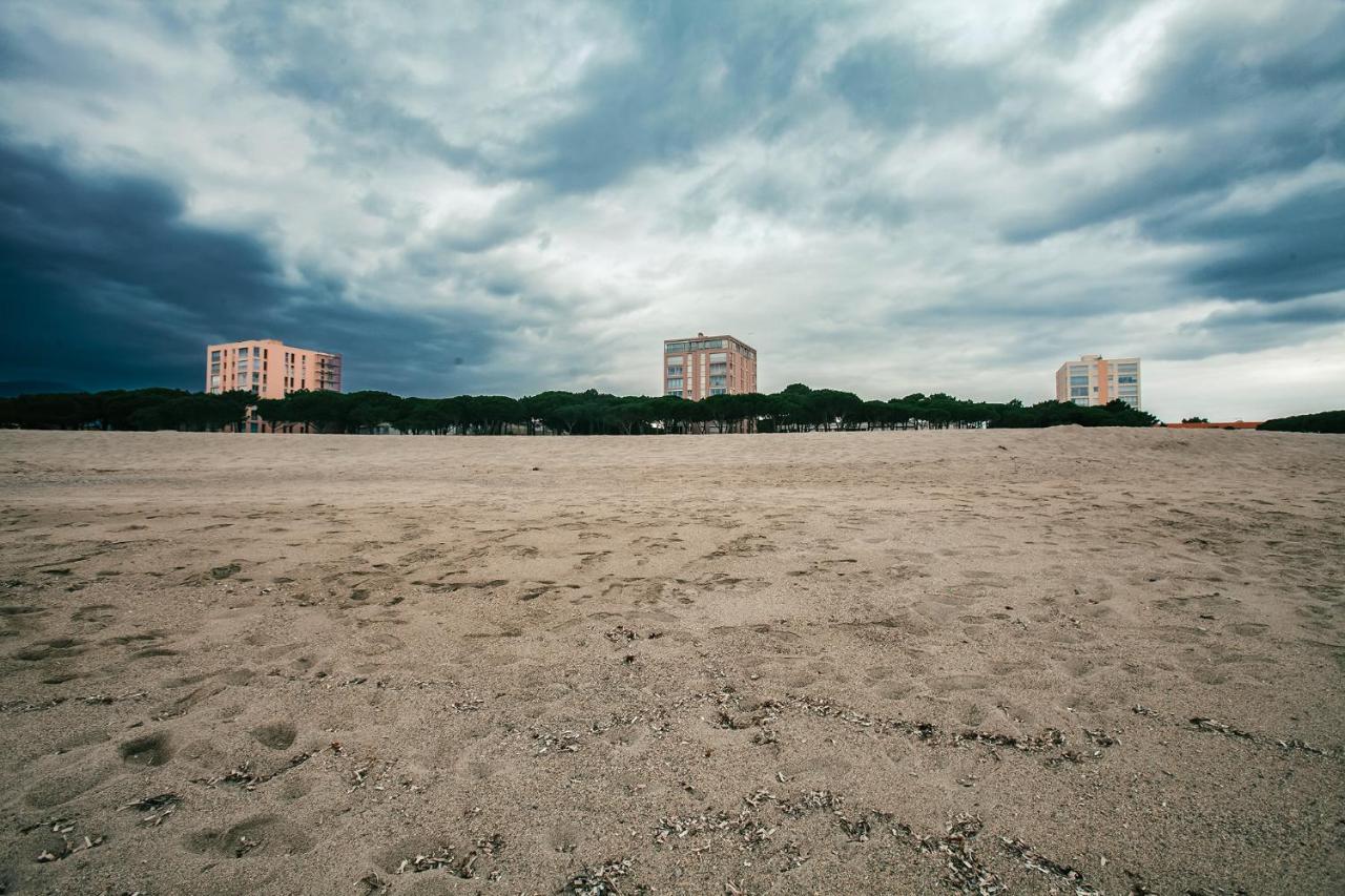 Studio Les Pieds Dans L'Eau Argeles Sur Mer Exteriör bild