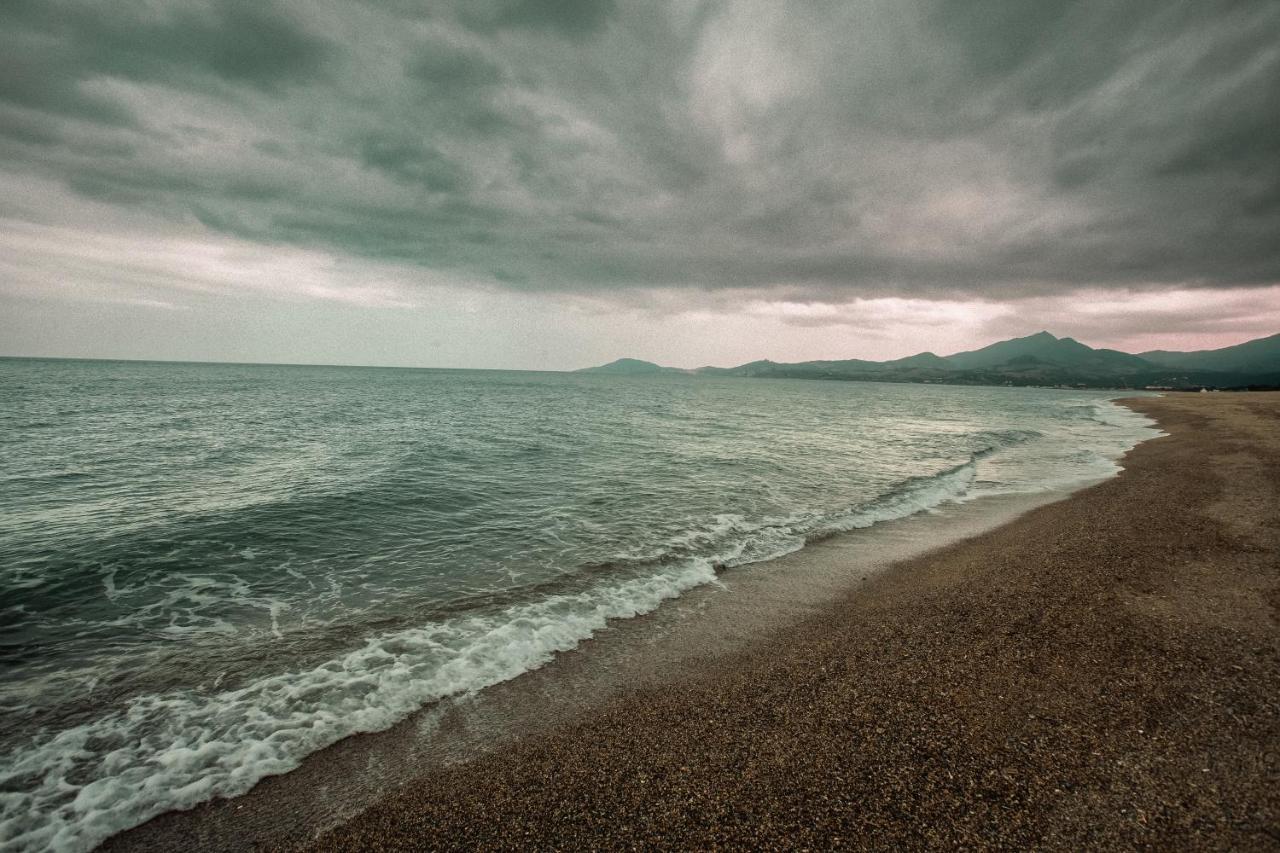 Studio Les Pieds Dans L'Eau Argeles Sur Mer Exteriör bild