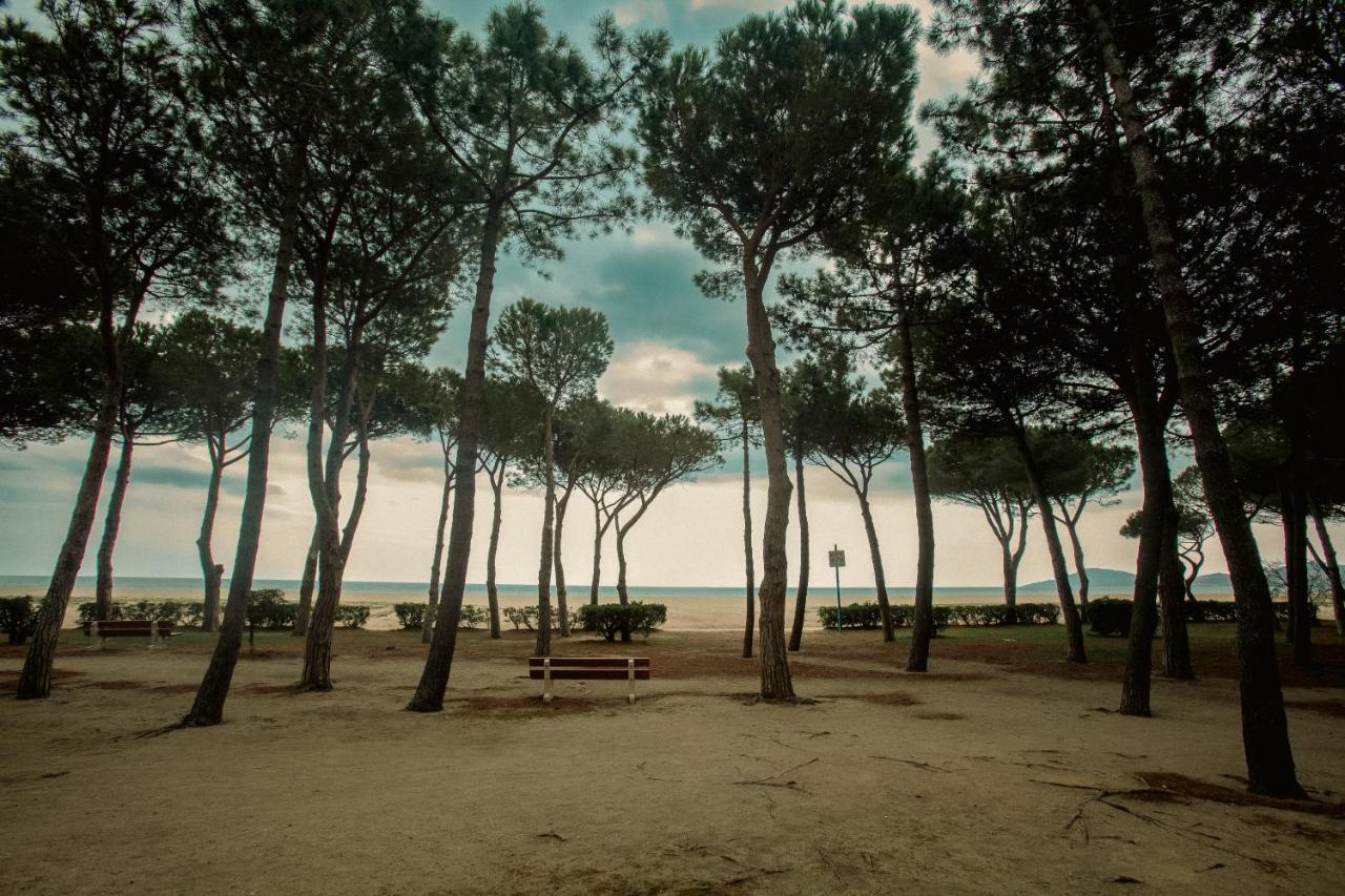 Studio Les Pieds Dans L'Eau Argeles Sur Mer Exteriör bild